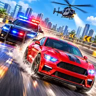police car chaser